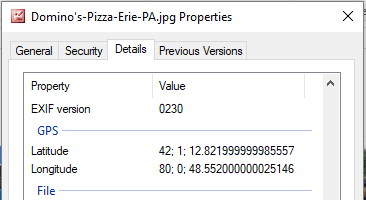 Latitude and Longitude of Domino's Pizza in Erie, PA